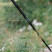 Треккинговые палки Tribe Z-Pole Carbon T-ME-0025-plum