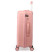 Чемодан Semi Line 24" (M) Rose (T5779-2)