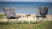 Стул Outwell Tally Lake (470384)