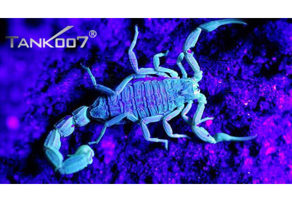 Фонарь Tank007 ультрафиолетовый TK566