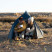 Палатка сверхлегкая одноместная с футпринтом Naturehike Cloud Up 1 Updated NH18T010-T, 20D, темно-синяя