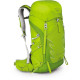 Рюкзак Osprey Talon 33 Yerba Green, S/M
