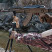 Трипод Fiery Deer DX-004-GEN6 6-е поколение, высота 180 см