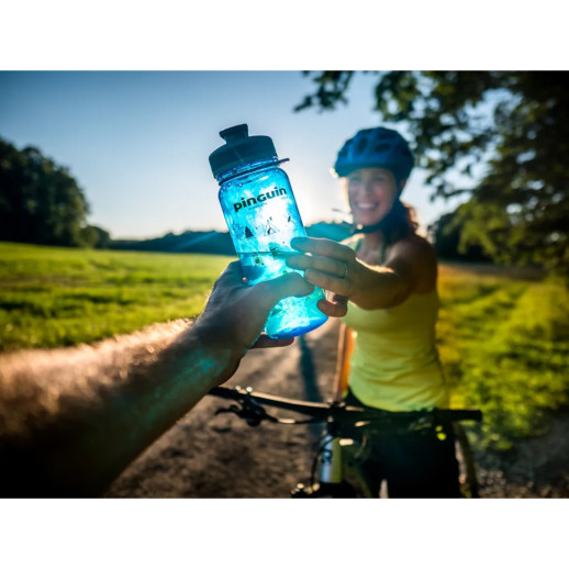 Фляга Pinguin Tritan Sport Bottle 2020 BPA-free, 0,65 L, Green (PNG 805444)