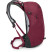 Рюкзак Osprey Hikelite 18 chameleon/black - O/S - бордовый