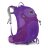 Рюкзак Osprey Sirrus 24 фиолетовый