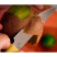 Нож кухонный Butterfork Paring Knife AR-RPM9 ABS Yellow