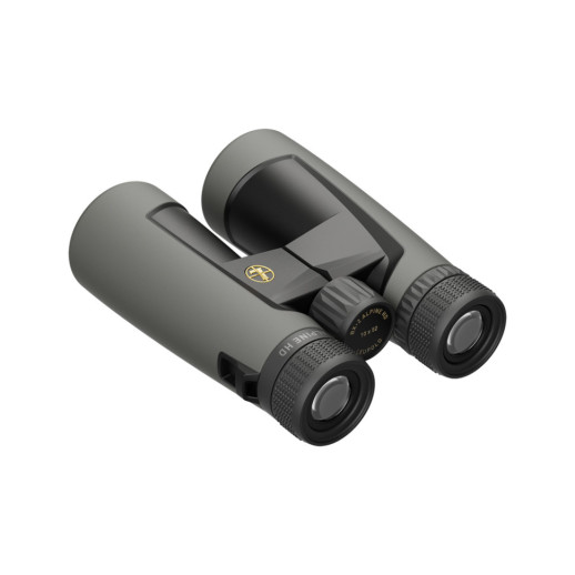 Бинокль Leupold BX-2 Alpine 10x52mm Roof темно-серый