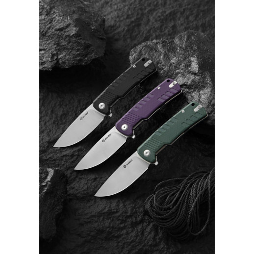 Нож складной Ganzo G769-PL
