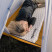 Матрас туристический надувной одноместный Naturehike CNK2300DZ013, 185x55x3.5 см, светло-серый, прямоугольный