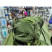 Рюкзак Pinguin Explorer 50, Khaki (PNG 373042)