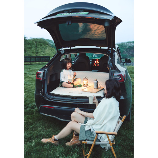 Матрац автомобильный кемпинговый двухместный Naturehike CNK2450WS010, 197х134х6,5 см светлый со встроенной насосной помпой