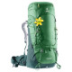 Рюкзак Deuter Aircontact 60 + 10 SL, leaf-forest