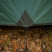 Палатка Totem Catawba 4 (v2) UTTT-024