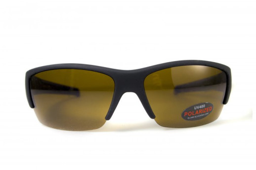 Очки поляризационные BluWater Daytona-2 Polarized (brown), коричневые в черно-синей оправе