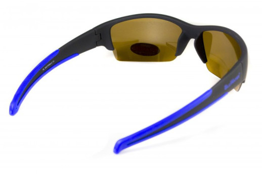 Очки поляризационные BluWater Daytona-2 Polarized (brown), коричневые в черно-синей оправе