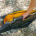 Сумка Vanguard Vesta Alta Action 70 Gray (Alta Action 70)