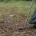 Колышки туристические облегченные Naturehike CNK2650PJ014, V-образные, 14 см, 6 шт, серый
