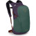 Рюкзак Osprey Daylite Plus axo green/enchantment purple - O/S - зеленый/фиолетовый