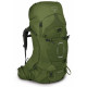 Рюкзак Osprey Aether 65 Garlic Mustard Green - S/M - зеленый
