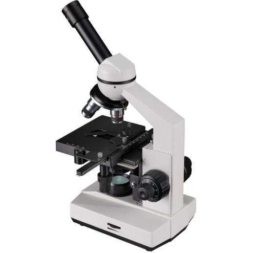 Микроскоп Bresser Erudit Basic Mono 40x-400x с адаптером для смартфона + кейс (5102100) (922745)
