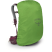 Рюкзак Osprey Sirrus 24 elderberry purple/chiru tan - O/S - бордовый