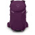 Рюкзак Osprey Sportlite 25 aubergine purple - S/M - фиолетовый