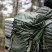 Рюкзак Tramp Trek 40 UTRP-057-olive