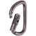 Карабин Petzl Am'D BALL LOCK