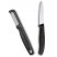 Набор для чистки овощей Victorinox Swiss Classic 2шт черн 6.7113.21