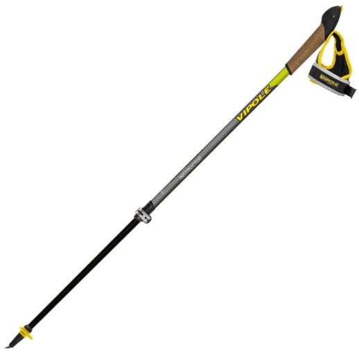 Палки для скандинавской ходьбы Vipole Instructor Vario QL Green DLX (S25 26)