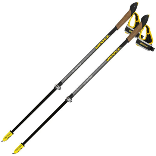 Палки для скандинавской ходьбы Vipole Instructor Vario QL Silent DLX (S25 24)