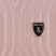 Бьюти-кейс Semi Line 12L Pink (T5987-1)