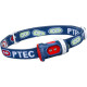 Фонарь налобный Princeton Tec BotTurBlue RD/PTC610 LED