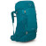 Рюкзак Osprey Ace 38 blue spikemoss/deep peyto - O/S - синий