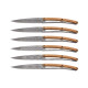Набор ножей 6 Deejo Steak Knives, titan finish