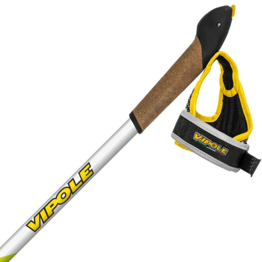 Палки для скандинавской ходьбы Vipole Vario Green DLX (S25 29)