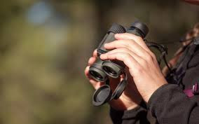 Бинокль Vortex Diamondback HD 8x32 (DB-212)