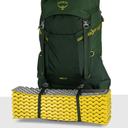 Рюкзак Osprey Ace 50 green canopy - O/S - зеленый