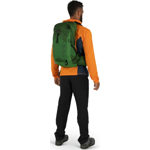 Рюкзак Osprey Talon 22 green belt/black - L/XL - зеленый