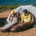 Спальник с натуральным пухом Naturehike Snowbird CNK2550WS014 SP550, р-р L, коричневый 992 г