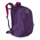 Рюкзак Osprey Nova 33 Фиолетовый