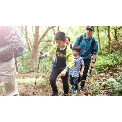 Трекинговая палка 3-сек. Naturehike Boy 6061 AL NH17D001-Z, 50-100 см, алюминий, голубая