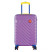 Чемодан Semi Line 20" (S) Purple (T5804-1)