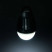 Фонарь-истребитель насекомых Bo-Camp Atom WP Rechargable 180 Lumen Black (5818804)