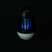 Фонарь-истребитель насекомых Bo-Camp Atom WP Rechargable 180 Lumen Black (5818804)