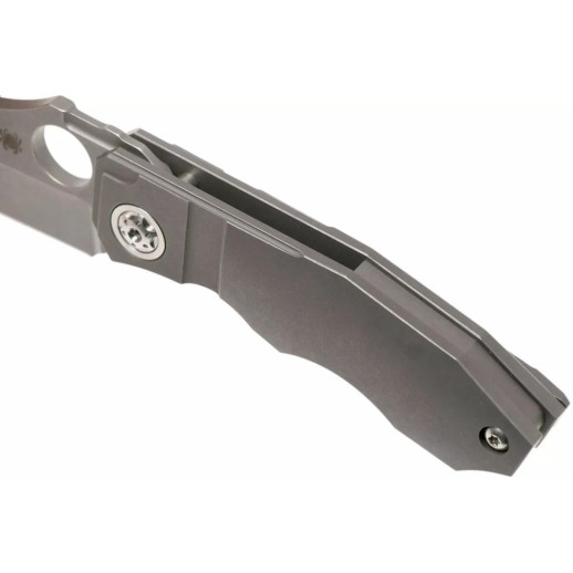 Нож Spyderco Stovepipe, CPM 20CV, Titanium