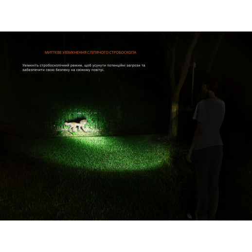 Фонарь ручной Fenix LD35R