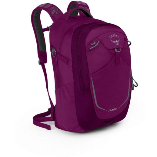 Рюкзак Osprey Flare 22 фиолетовый
