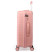 Чемодан Semi Line 28" (L) Rose (T5779-3)